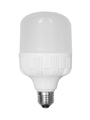 AP20HPN Lampada Led Alta Potenza 20W luce naturale 4000K